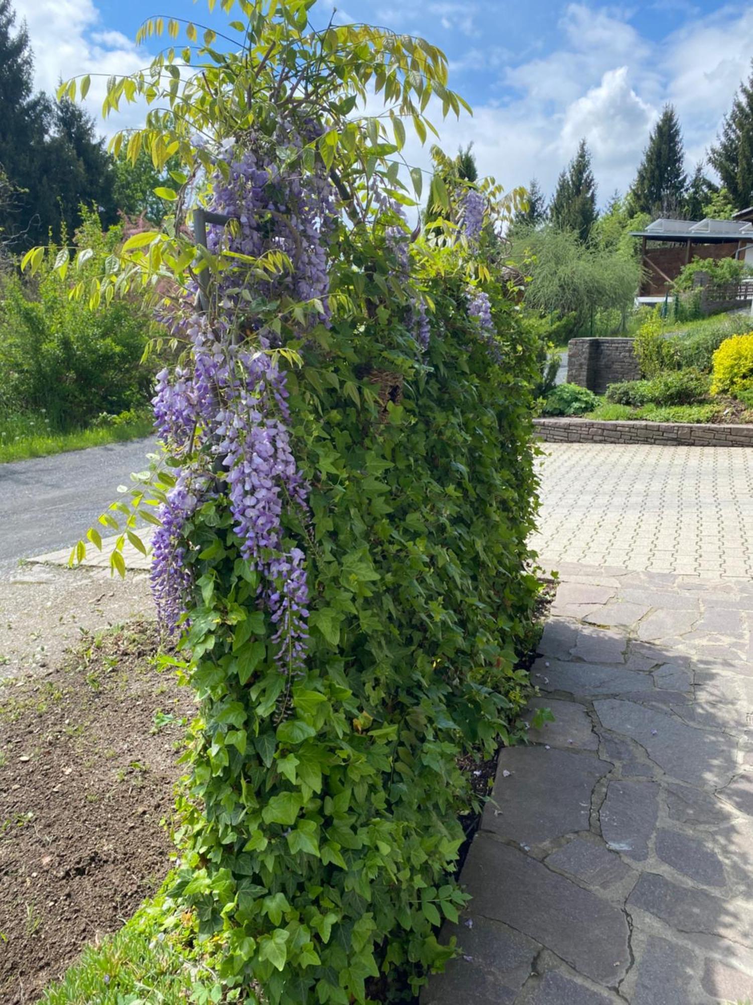Fewo Marielle Зебоден Екстер'єр фото
